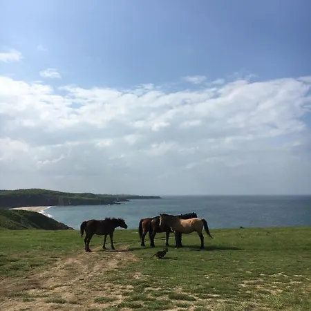 Vakantiehuis дървени къщички - лион *