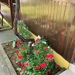 Vakantiehuis дървени къщички - лион Sinemoretz