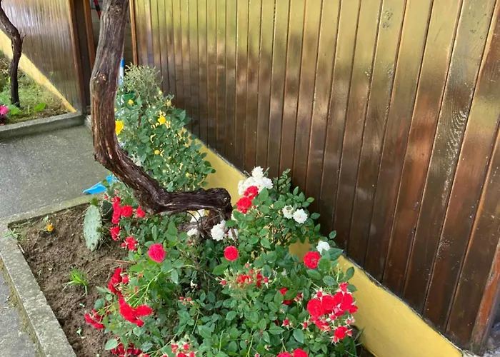 Ваканционна къща дървени къщички - лион Синеморец