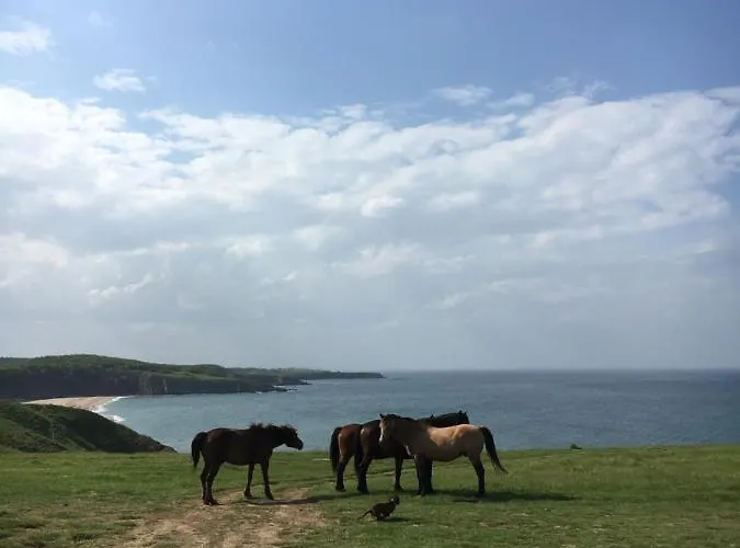 Ferienhaus дървени къщички - лион *